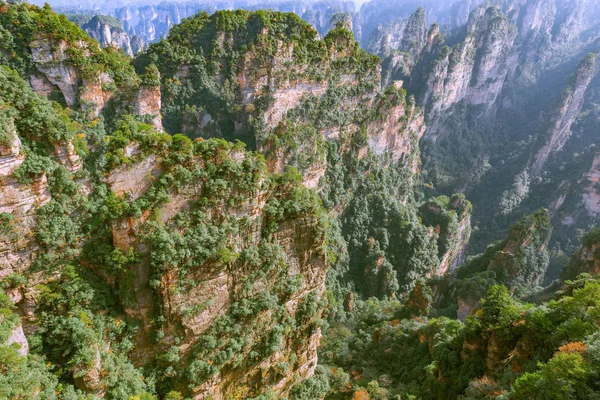 Bunte Klippen im Zhangjiajie Waldpark zur sonnigen Abendzeit. — Stockfoto