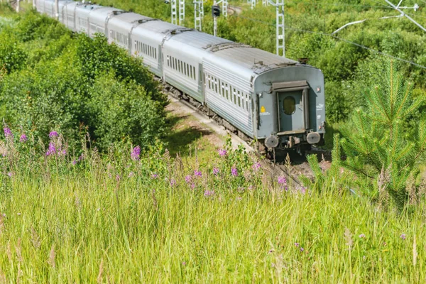 Passagierstrein benaderingen van het station op de zomer ochtend tijd. — Stockfoto