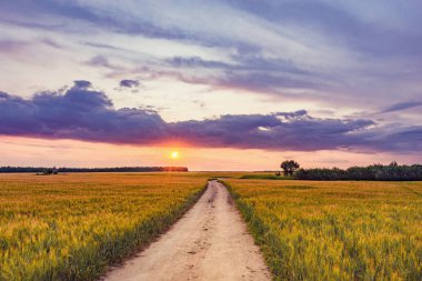 Gün batımı zaman çavdar ve yol ile alan.