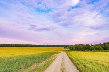 Gün batımı zaman çavdar ve yol ile alan.