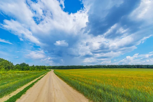 Fält med råg och väg vid solnedgången. — Stockfoto