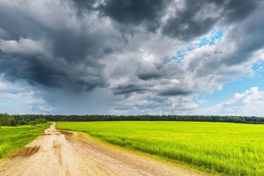 Fırtınalı bulutlar altında çavdar ve yol ile Alan.