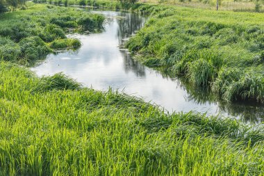 Gündüz dar nehir de sazlar.