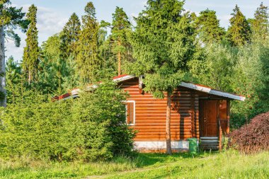 Yaz akşam saatlerinde derin ormanın yanında özel ev.