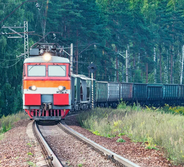 Tren de mercancías se mueve en el fondo del bosque . — Foto de Stock