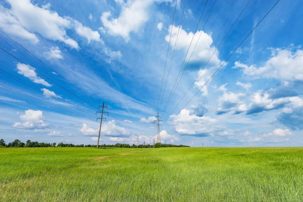 Elektriska ledningar ovanför det gröna fältet med råg under den blå himlen. — Stockfoto