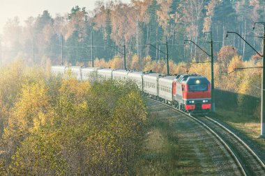 Yolcu tren istasyonuna yaklaşımlar sonbahar sisli sabahı zaman.