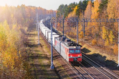 Sonbahar orman arka plan üzerinde soğutulmuş konteyner tren.