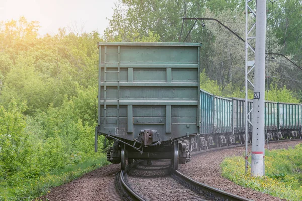 Goederentrein Verplaatst Zich Door Het Zomerwoud — Stockfoto