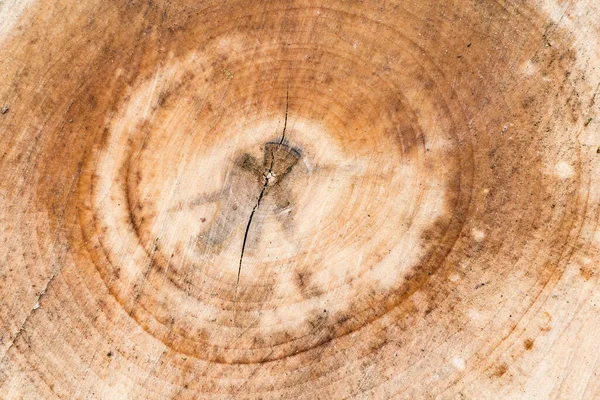 Holz Textur Oder Holz Hintergrund — Stockfoto