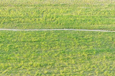 Yaz günbatımında çayırda dar bir patika..