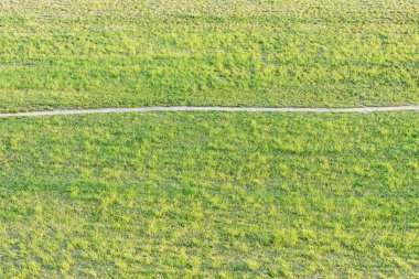 Yaz günbatımında çayırda dar bir patika..