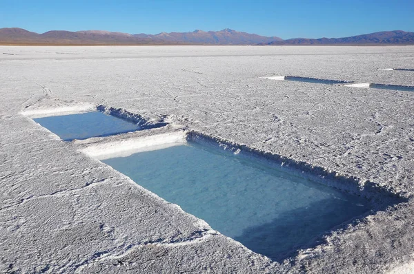 Saltbrytningsplats Fjällöknen Argentina — Stockfoto