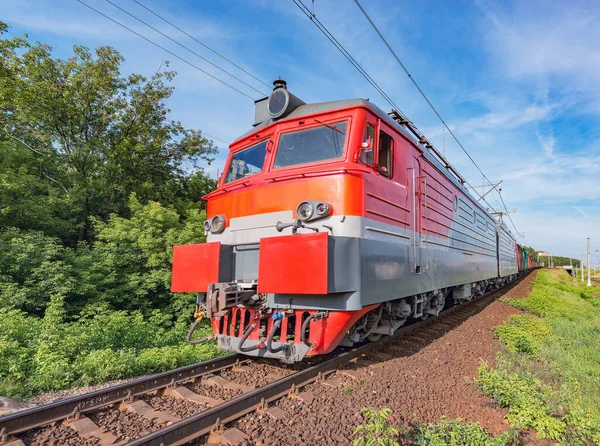 夏時間帯になると森のそばを貨物列車が移動 — ストック写真