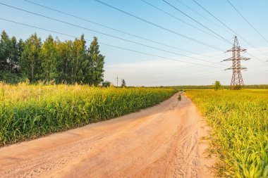 Yaz günbatımında tarlanın yanındaki yol..