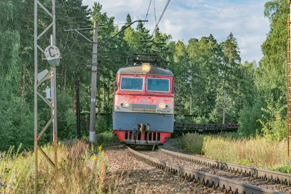 Güterzug Fährt Sommertag Durch Den Wald — Stockfoto