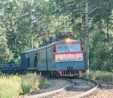 Yük treni yaz zamanı ormandan geçer..