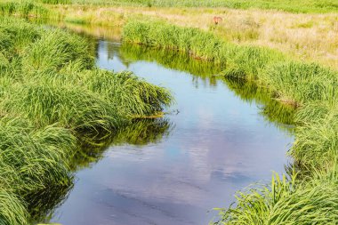 Yaz zamanı nehir manzarası..
