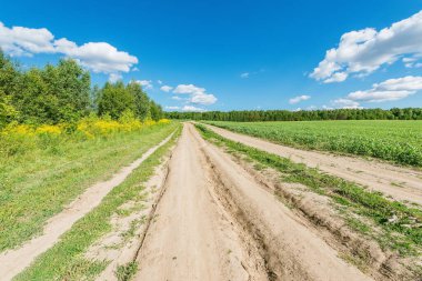 Yaz zamanı tarlanın yanındaki yol..