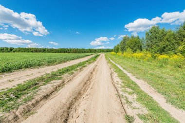 Yaz zamanı tarlanın yanındaki yol..