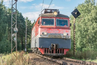 Korolev, Rusya - 10 Ağustos 2020: Yük treni yaz günü ormandan geçiyor.