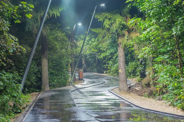 Estrada Asfalto Floresta Cidade Noite Chuvosa — Fotografia de Stock