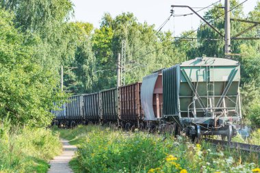 Yük treni yaz zamanı ormandan geçer..