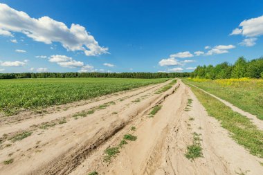 Yaz zamanı tarlanın yanındaki yol..