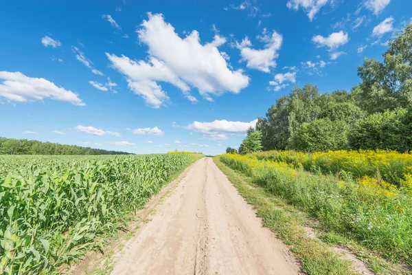 Yaz zamanı tarlanın yanındaki yol..