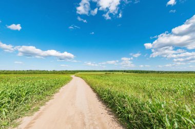 Yaz zamanı tarlanın yanındaki yol..