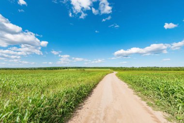 Yaz zamanı tarlanın yanındaki yol..