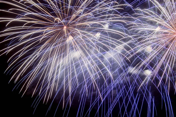 Fogos Artifício Coloridos Céu Escuro Noite — Fotografia de Stock