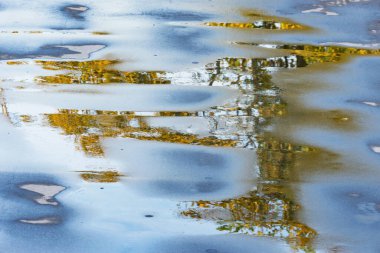 Sonbahar akşamı ıslak asfalt yol yüzeyi.