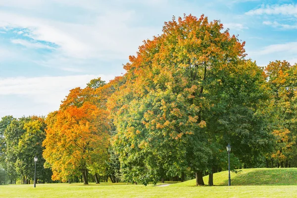 Bomen Bij Weide Het Herfststadspark — Stockfoto