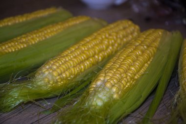 masada mısır koçan lezzetli sağlıklı gıda olgun lezzetli sarı
