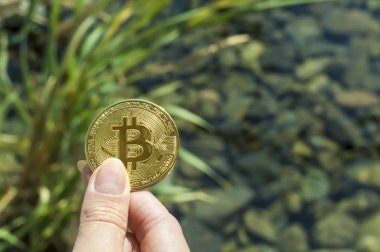 Bitcoin bir kızın elinde bir gölün arka planına karşı, çimenler, su altında taşlar. Refah, Büyüme, Finansal Başarı.Background metin için kopya alanı ile