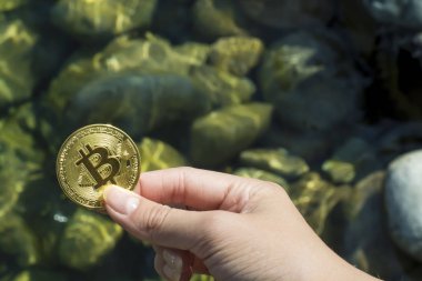 Okyanustaki taşların arka planında Bitcoin. Finansal başarı, büyüme, zenginlik. Metin için kopyalama alanı ile arka plan