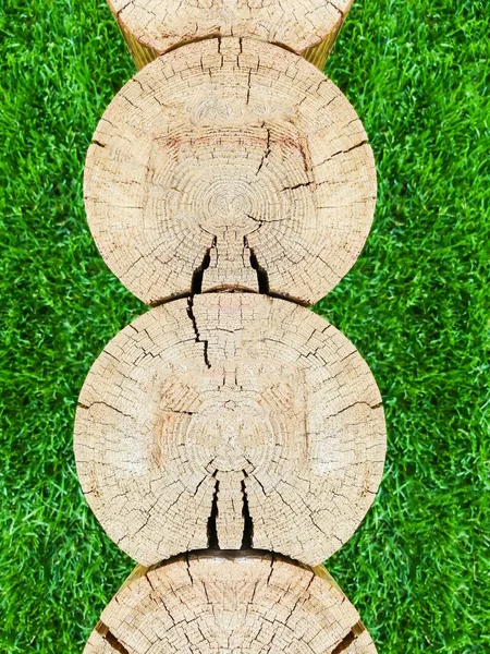 Several tree trunks. Cross section. Cross section of logs texture. Vertical. Wood tree trunk texture, close-up on a background of green grass.