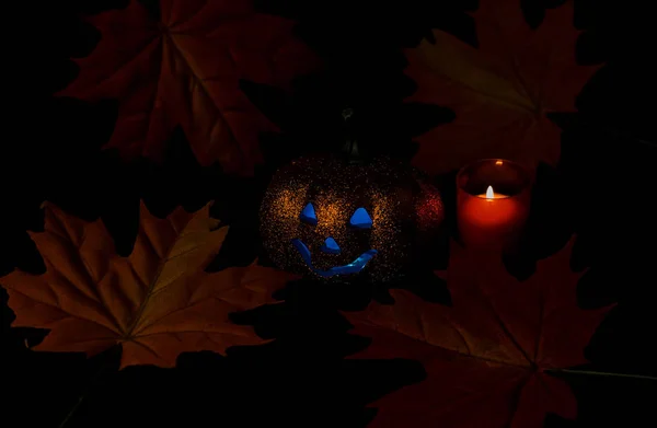 Jack halloween lykta på svart bakgrund med gula och röda lönnlöv. — Stockfoto