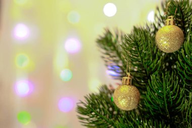 İki küçük noel ağacı küresi ve altın parıltı yemyeşil Noel ağacı dallarının iğnelerine asılmış. Arka plan bulanık, Bokeh.
