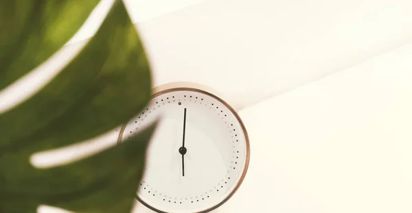 Λευκό μοντέρνο ρολόι σε λευκό φόντο με πράσινο φύλλο. Copyspace, μακιγιάρισμα — Φωτογραφία Αρχείου