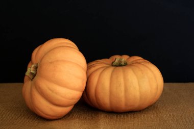 Güneşte iki büyük desenli portakal kabağı.