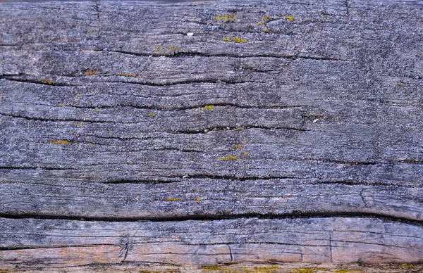 Madeira Velha Textura Natureza Fundo Natureza Madeira — Fotografia de Stock