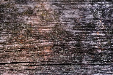 Eski kerestenin doğal dokusu, eski ahşap. Yakın plan.