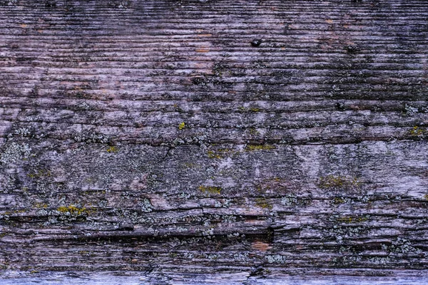 Texture naturelle de vieux bois, vieux bois. Gros plan — Photo