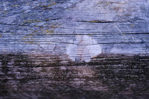 Texture naturelle de vieux bois, vieux bois. Gros plan — Photo