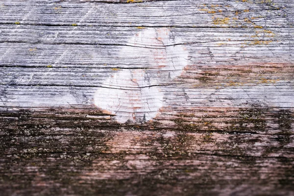 Texture naturelle de vieux bois, vieux bois. Gros plan — Photo