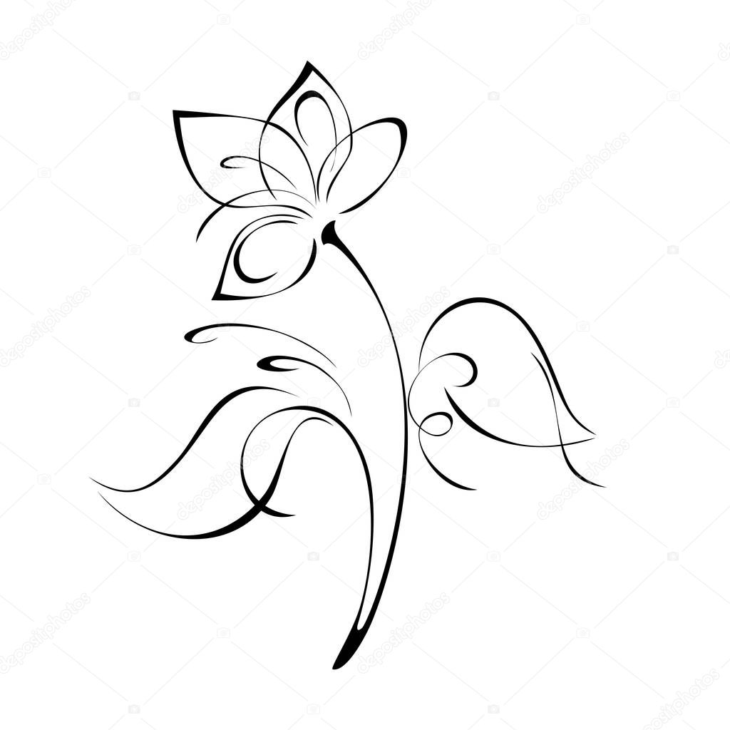 one stylized flower on a stem with leaves and curls in black lines on a white background