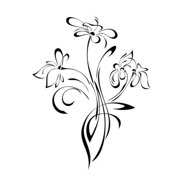 Bouquet Stylisé Fleurs Sauvages Lignes Noires Sur Fond Blanc — Image vectorielle