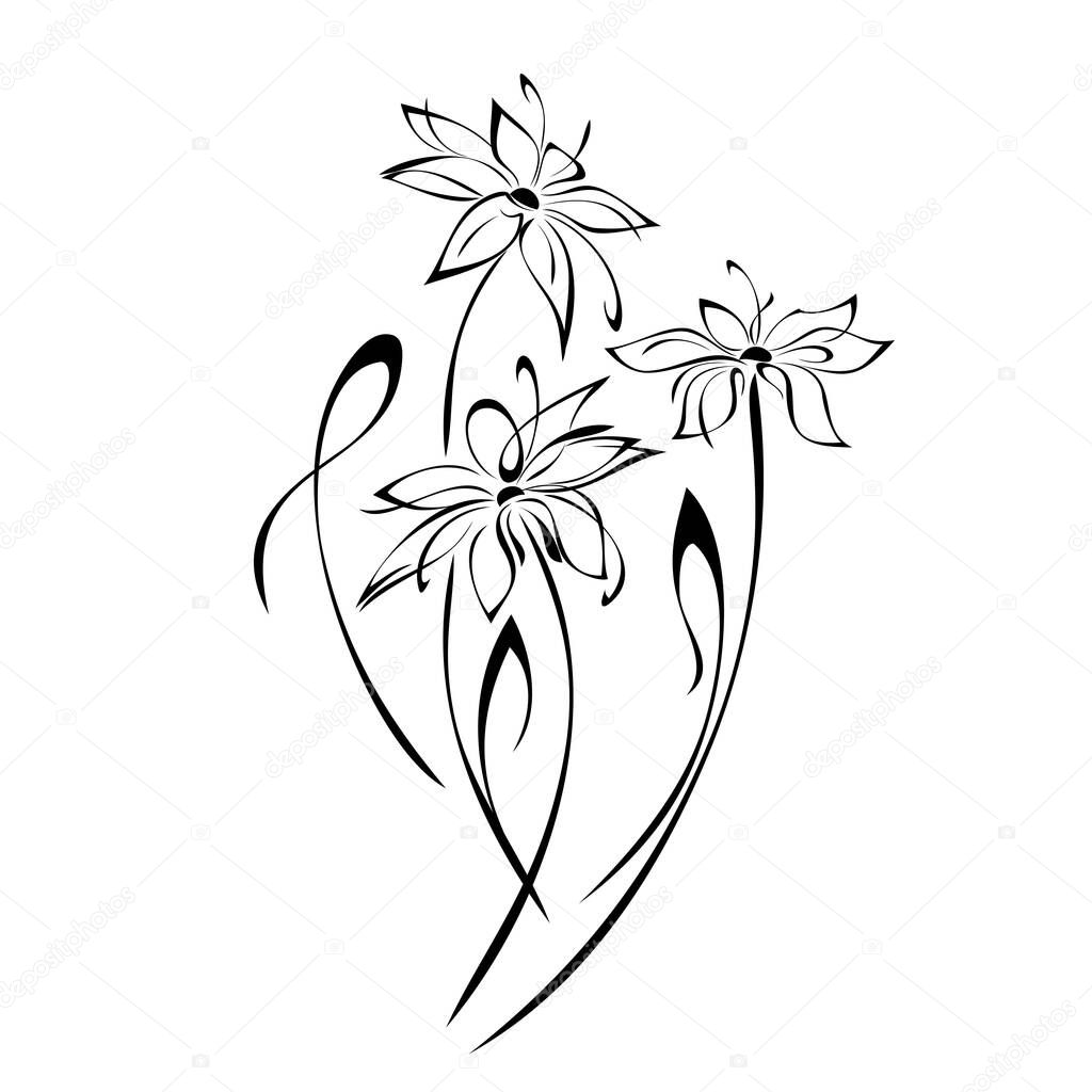 stylized bouquet of three blossoming flowers in black lines on a white background
